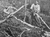 Lohe-Abb-4