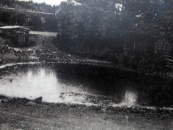 3 Dorfweiher Ettelscheid, Smlg. Miro Honhoff