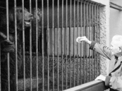 Zoo-04 - Es gab Bären