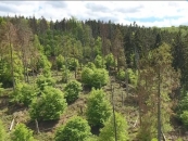 Luftbild Waldentwicklung_VTS Film